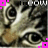 iconhell_kat