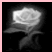 A grayscale icon with a bright, pixelated central shape resembling a flower or abstract bloom against black background and pink border.