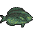 Pixelated fish icon with green and yellow patterned scales, black outline, and white eye on gray background.