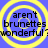 Blue background with four yellow concentric circles, each containing black text reading "aren't brunettes wonderful?" in a pixelated font.
