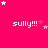 Bright pink background with white pixelated text 'sully!!!' repeated in a , surrounded by scattered white and light pink stars