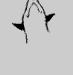 Black silhouette of a figure in dynamic poses against light gray background, showing sequential motion transitions from arched to bent positions.