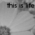Black text on a grayscale background with two distinct phrases visible across the