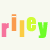 Pixelated text spelling 'riley riley' in alternating pink, orange, yellow, and green block letters on a white background.