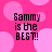 Pixelated text 'Sammy is the BEST!' on a pink background with lighter pink circles, displayed in four identical quadrants.