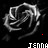 A grayscale rose icon with white highlights on black background, featuring the name 'Jenna' in pixelated text below each instance.