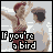 Pixelated static image of a cartoon character with raised arms holding a hat, featuring bold text "If you're a bird" at the bottom against a light gray background.