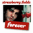 A static image shows a person with dark hair holding a red rose, with 'strawberry fields' text above and 'Forever' text below on a red banner.