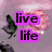 Animated sequence of pink roses with changing text overlays in purple, black, and green pixelated fonts against a soft gray background.