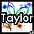 Pixelated icon with 'Taylor' text overlay, abstract blue-green floral shapes above, and orange-brown splatter-like patterns below on white background.