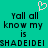 Pixelated teal background with black text reading 'Yall all know my is SHADEIDEI' and a pink heart symbol above the left side of the text.