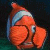 A pixelated orange clownfish with white stripes and blue eyes appears on the left, next to a black square with bold white text reading YOU SCARE ME!!