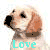 Pixelated dog head with light brown fur, black nose, and dark eyes looking left; turquoise 'Love' text below on white background.