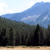 Pixelated landscape with blue sky, white clouds, dark green forest, and light brown ground.