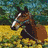 Four horse images arranged in a : top-left brown horse with white stripe, top-right running brown horse, bottom-left white horse lying down, bottom-right grazing brown horse