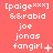 Pixelated text on coral background shows 'paige***', '&*rabid', 'joe jonas fangirl' with varying symbols and punctuation across three