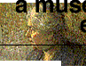 Animated sequence showing a statue-like figure transitioning through multiple artistic styles including classical sculpture, wave patterns, and portrait paintings.