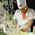 Animated sequence of a chef in white uniform with red neckerchief and tall white hat, performing actions against blurred greenery background.