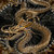 Pixelated image of a coiled serpent with brown and tan scales against a dark background, featuring a visible eye and mouth.