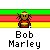 Pixelated Bob Marley icon with Rastafarian colors, text below, and animation variations including head movement and pixelation effects.