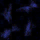 Pixelated blue and purple abstract shapes shift across a black background in a sequence of animated frames.
