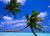 Two palm trees with green fronds and brown trunks against a blue sky with white clouds, over light blue water.