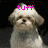Two pixelated dogs with white fur and dark eyes appear side-by-side against a black background, one with pink text above its head reading 'tuff' and the other with pink text below it reading 'enough'.