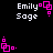 Pixelated text "Emily Sage" with pink geometric shapes on black background, showing animation frames with shape position changes.