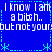 Blue background with white pixelated text repeating 'I know I am a bitch.. but not yours' in four quadrants, bordered by cyan dashed lines and star-like symbols.