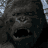A pixelated image of a roaring gorilla's face with the text "KING KONG" in large blue and white gradient letters below.