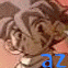 pixelated character portraits with blue 'az' text overlays, showing variations in hair color and background