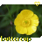 A static contact sheet of two identical frames showing a yellow flower with green leaves and heart icons above, labeled "buttercup" at the bottom.