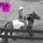 Black-and-white animation of a rider on horseback with colored text overlays changing across frames.