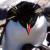 iconator.com - buddy icons - aim icons - away messages - AIM instant messenger