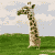 Animated contact sheet showing a giraffe's collapse from standing to lying down across six frames with text "Damn." in the final frame.