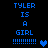 Blue pixelated text on black background reads 'TYLER IS A GIRL' with exclamation marks and heart symbols, animated between two states.
