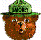 Brown bear face with green hat labeled 'SMOKEY' in pixelated style, showing four distinct facial expressions across frames.