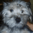 A pixelated image of a dog-like creature with wide eyes and an open mouth on the left, next to green background with purple text reading 'I <3 Ernie!' on the right.