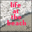 Pixelated image with red text 'life at the beach' over a beach scene background.