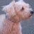 Pixelated static image of a light-colored dog's head and upper body against a blue-gray background with visible dithering and anti-aliasing artifacts.