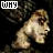 iconhell_xloserific_WDYHMS