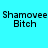 A static digital image displays repeated text "Shamovee Bitch" in black pixelated font on a cyan background with pink rectangular overlays.