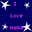 A static digital image with a dark blue background featuring white star shapes and pink text reading "I Love Hallie" in multiple positions.