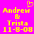 Yellow pixelated text on bright pink background with heart symbol above 'Andrew & Trista 11-8-08' in two identical side-by-side