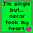 Green background with black text reading "I'm single but... oscar took my heart." and a pink heart symbol, framed by bright pink border.
