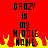 Red background with black pixelated text reading "CRAZY is my MIDDLE HOME" and yellow-orange flames at the bottom, duplicated side-by-side.