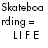 Two side-by-side pixelated text-based icons display "Skateboarding = LIFE" and "Snowboarding = LIFE" with black and blue color schemes.