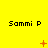 Yellow background with repeated "Sammi P" text and changing orange pixel symbols across three