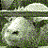 A 2x2 contact sheet of a pixelated sheep image with text overlays in four quadrants, showing the same static frame across all sections.