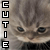 A pixelated cat face with blue eyes and brown fur, split vertically by a white line with text on both sides.